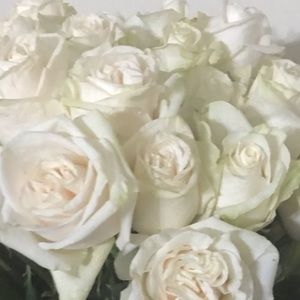 Meet your Posher, Paulina